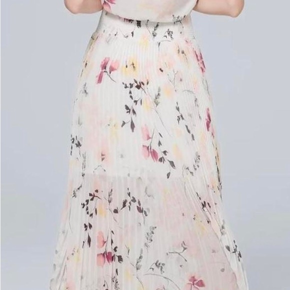 NWT WHBM gorgeous blouson dress with pleated skirt and floral pattern. - Picture 3 of 5